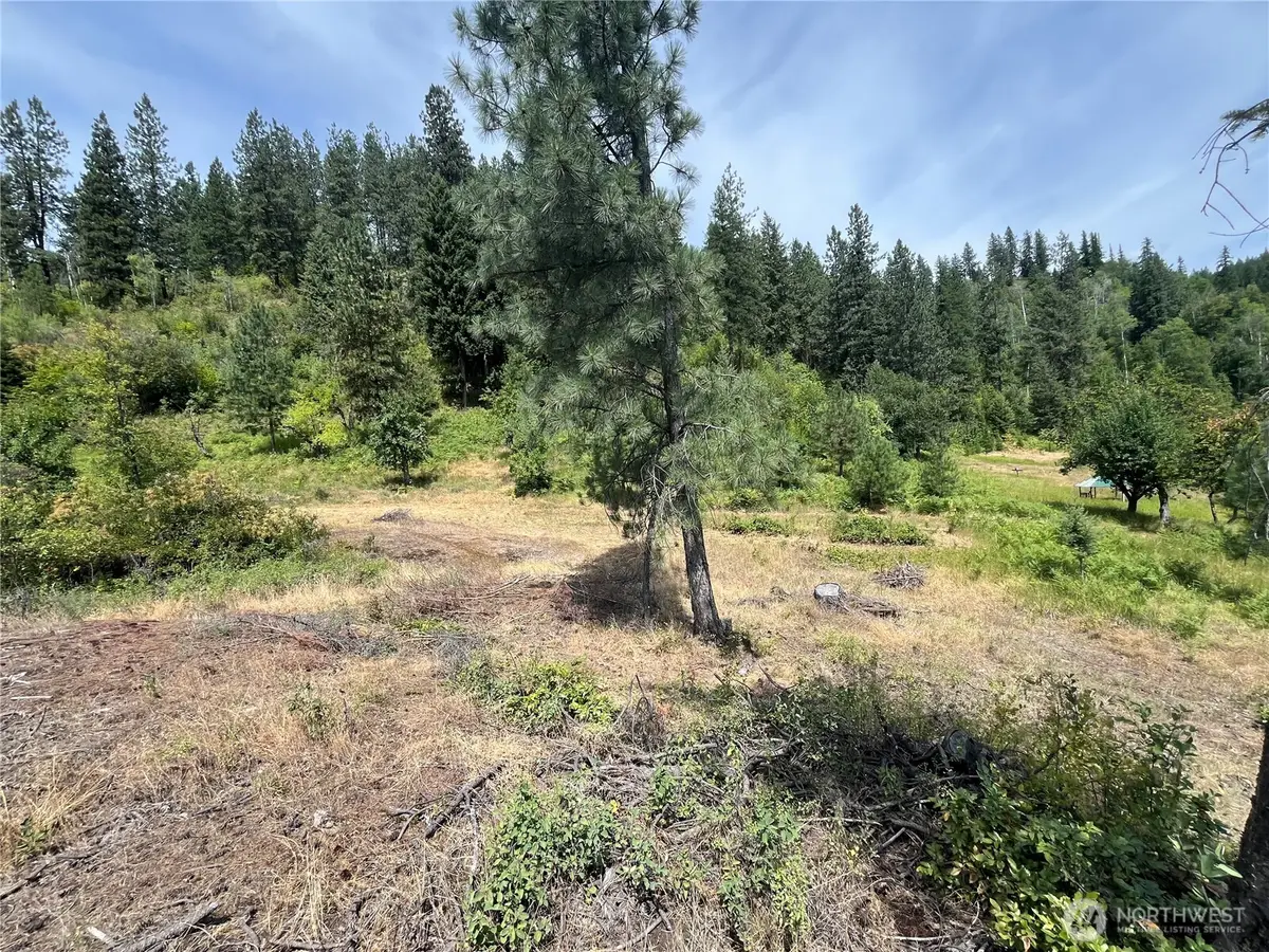 0 Mitchell Road, Northport, WA 99157 - #1