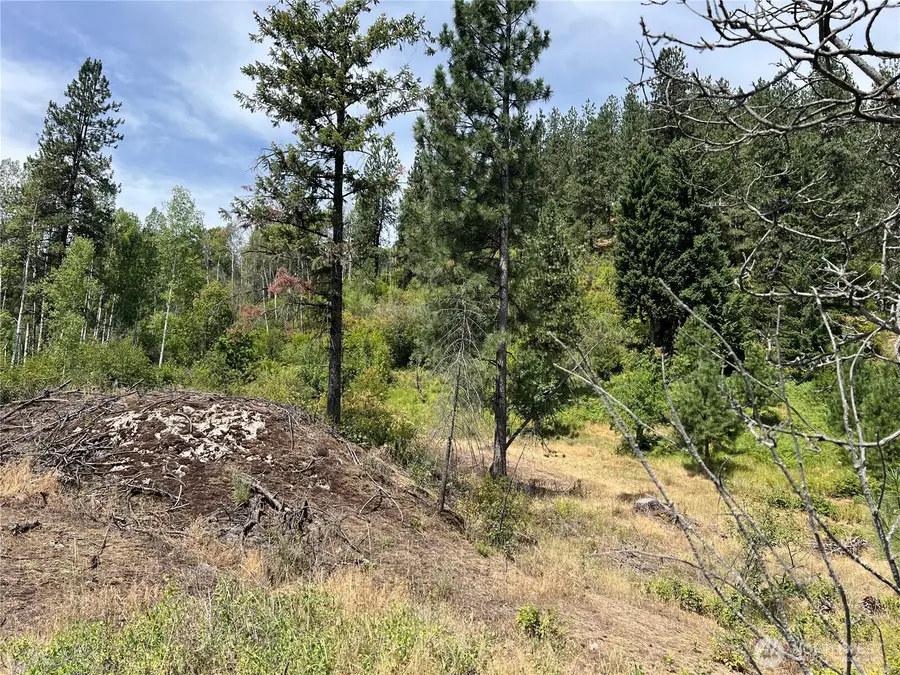 0 Mitchell Road, Northport, WA 99157 - #2