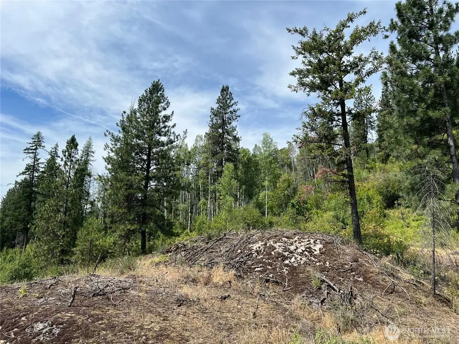 0 Mitchell Road, Northport, WA 99157 - #3