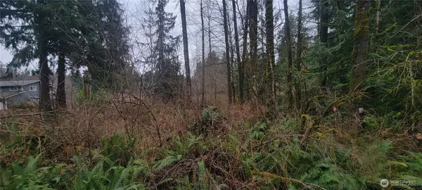 11228 312th Avenue Ne, Carnation, WA 98014