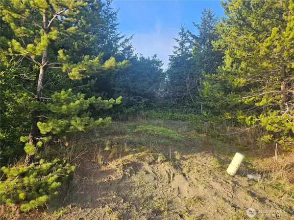 276 S Wynoochee Drive Sw #343, Ocean Shores, WA 98569