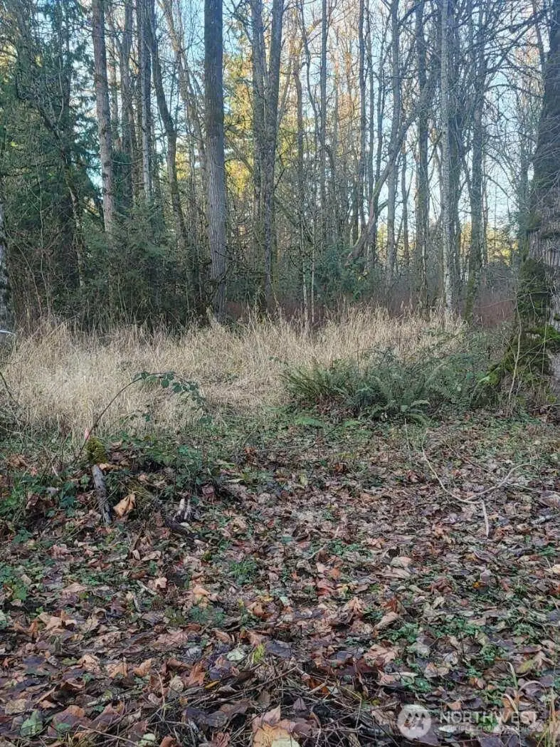 35750 Military Road S, Auburn, WA 98001 - Image #2