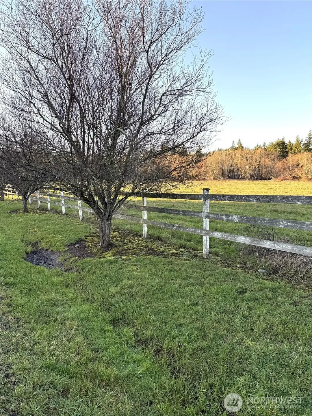 144 Laurence Lane #4, Bunker, WA 98579 - Image #1