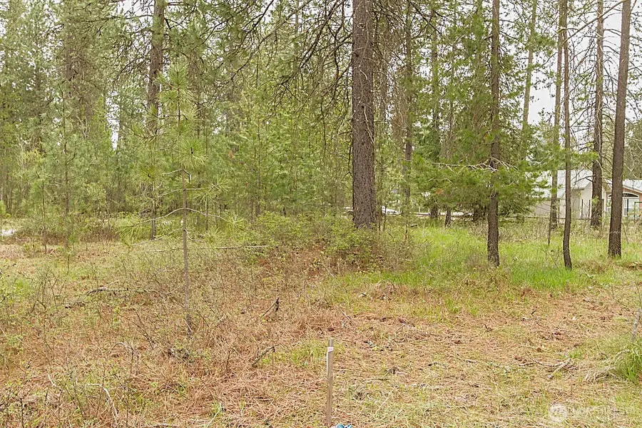 202 Eagle Drive #1, Chewelah, WA 99109 - #3