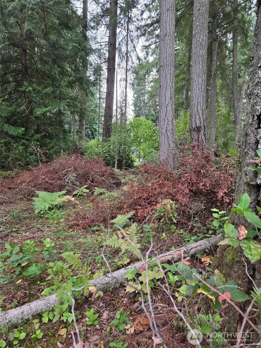 11119 122nd Avenue Ct #24, Anderson Island, WA 98303 - #2