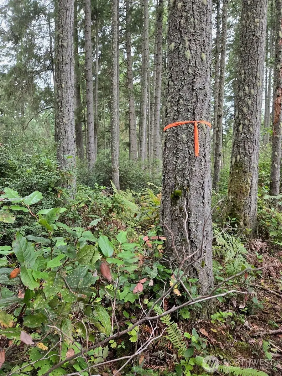 11119 122nd Avenue Ct #24, Anderson Island, WA 98303 - #3