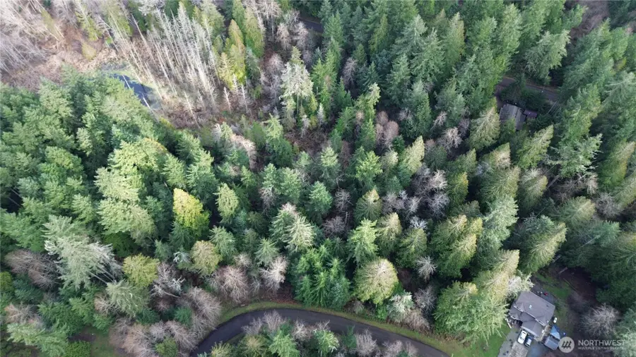 12719 & 12723 96th Street Ct #105 & 106, Anderson Island, WA 98303 - #2