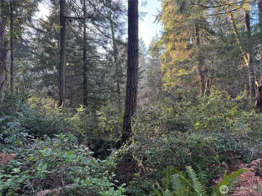 9606 Otso Point Road #34, Anderson Island, WA 98303 - #3