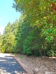 12611 Silver Drive #96, Anderson Island, WA 98303 - #1