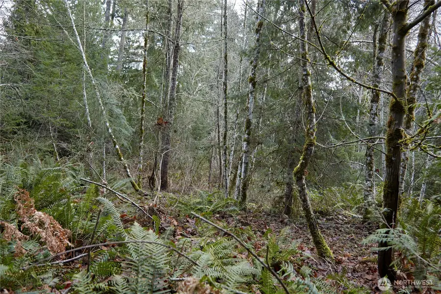 63 NW Anderson Hill Road, Silverdale, WA 98383 - Image #3