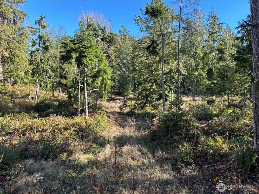 4 Lilypad Place E #7-10, Port Orchard, WA 98366 - #3