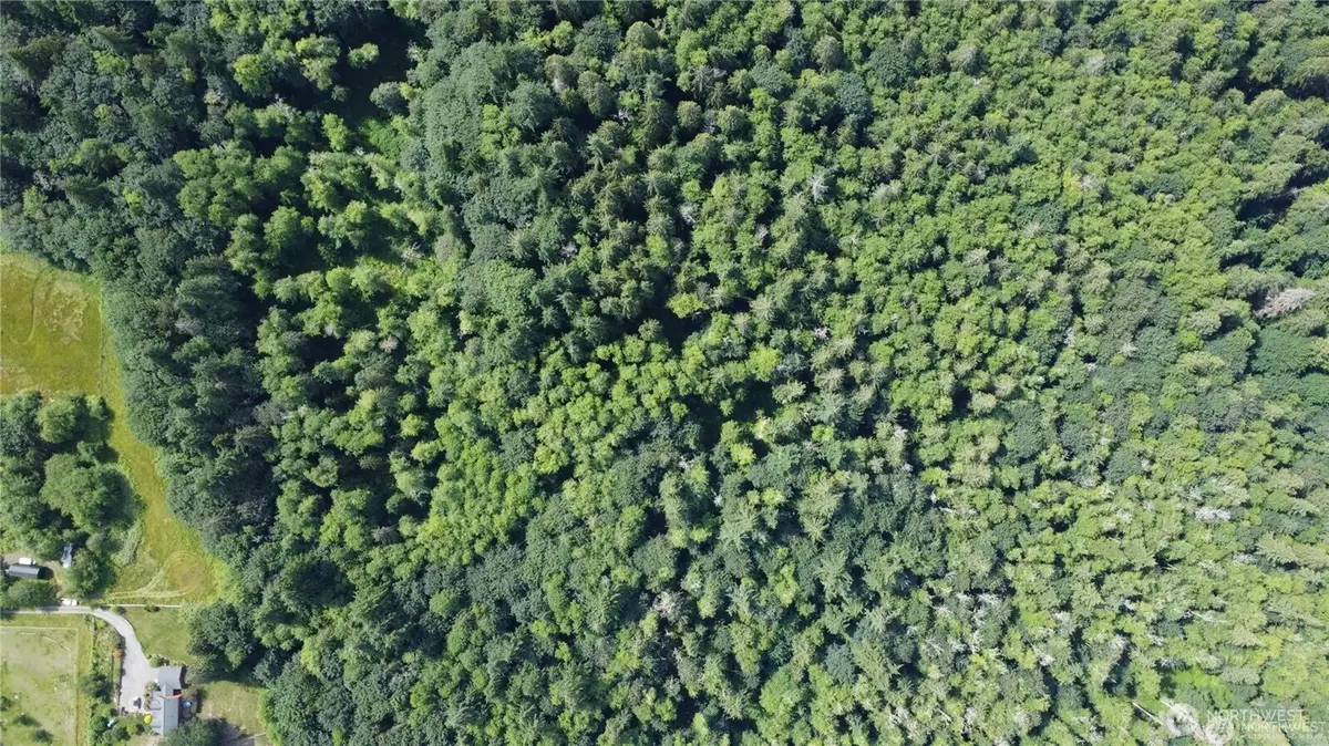 210 Pugh Road Ne, Poulsbo, WA 98370 - #1