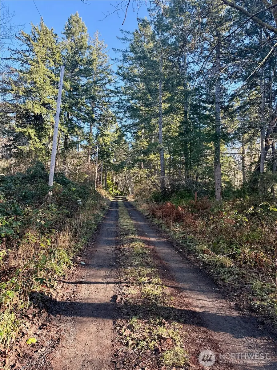 51 Fox Road, Quilcene, WA 98376 - Image #2