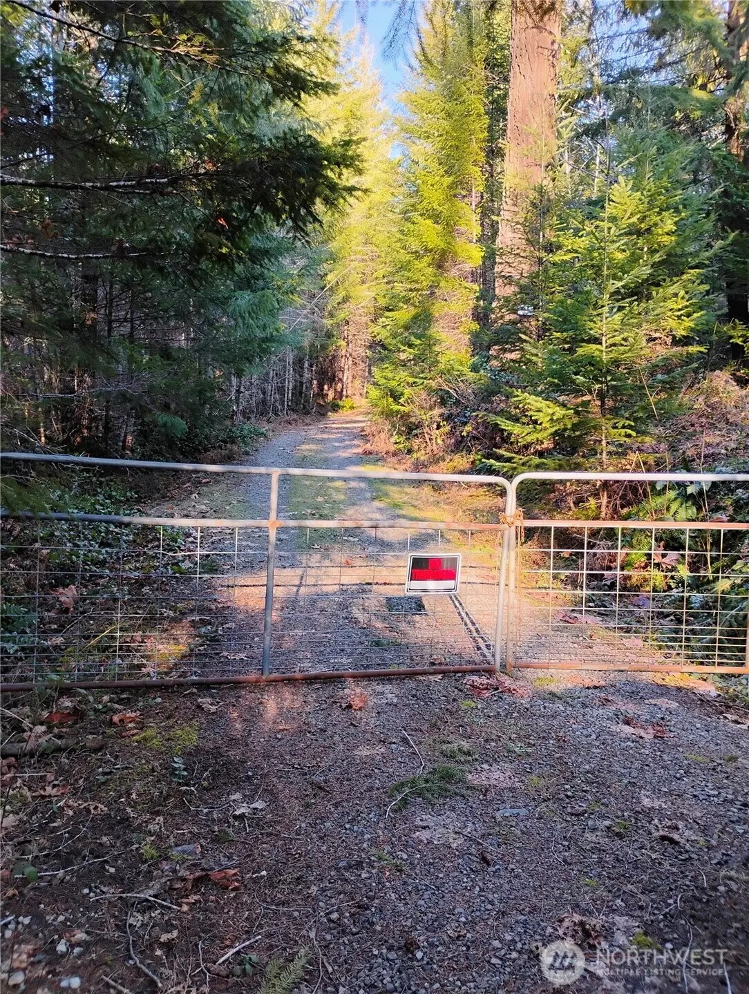 0 Skate Creek Rd S, Packwood, WA 98361 - Image #1