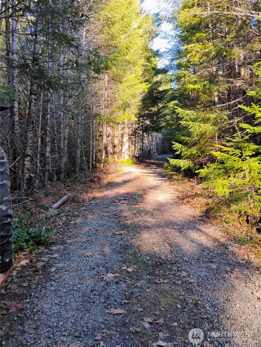 0 Skate Creek Rd S, Packwood, WA 98361 - Image #2