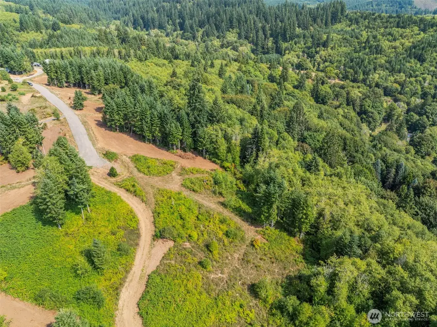 287 Bison Run Road #4, Longview, WA 98632 - #2