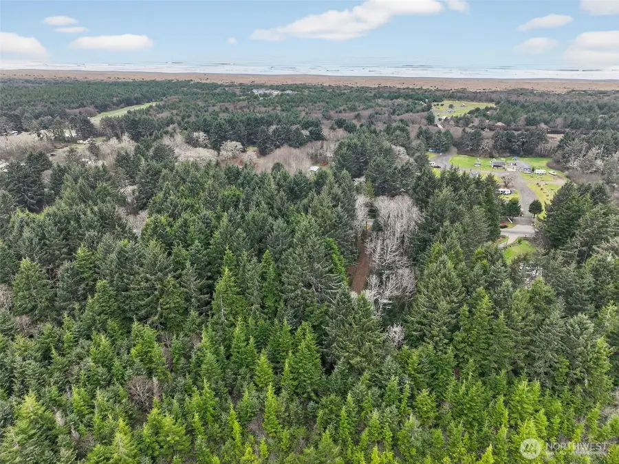 2772 State Route 109, Ocean City, WA 98569 - Image #3