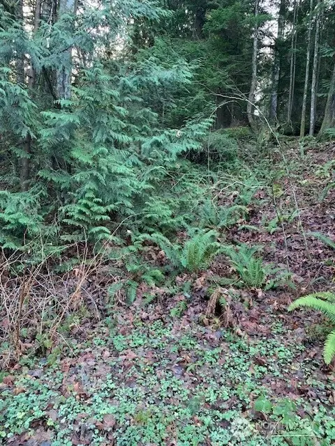 283 SE 146th Street #152, Issaquah, WA 98027 - #1