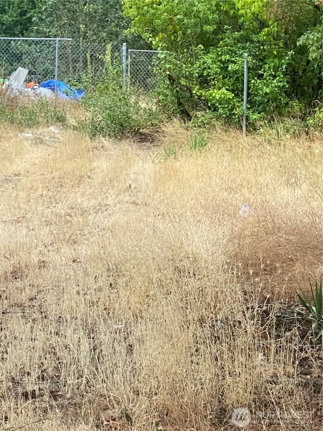 6615 Wapato Street #3, Tacoma, WA 98409 - #1