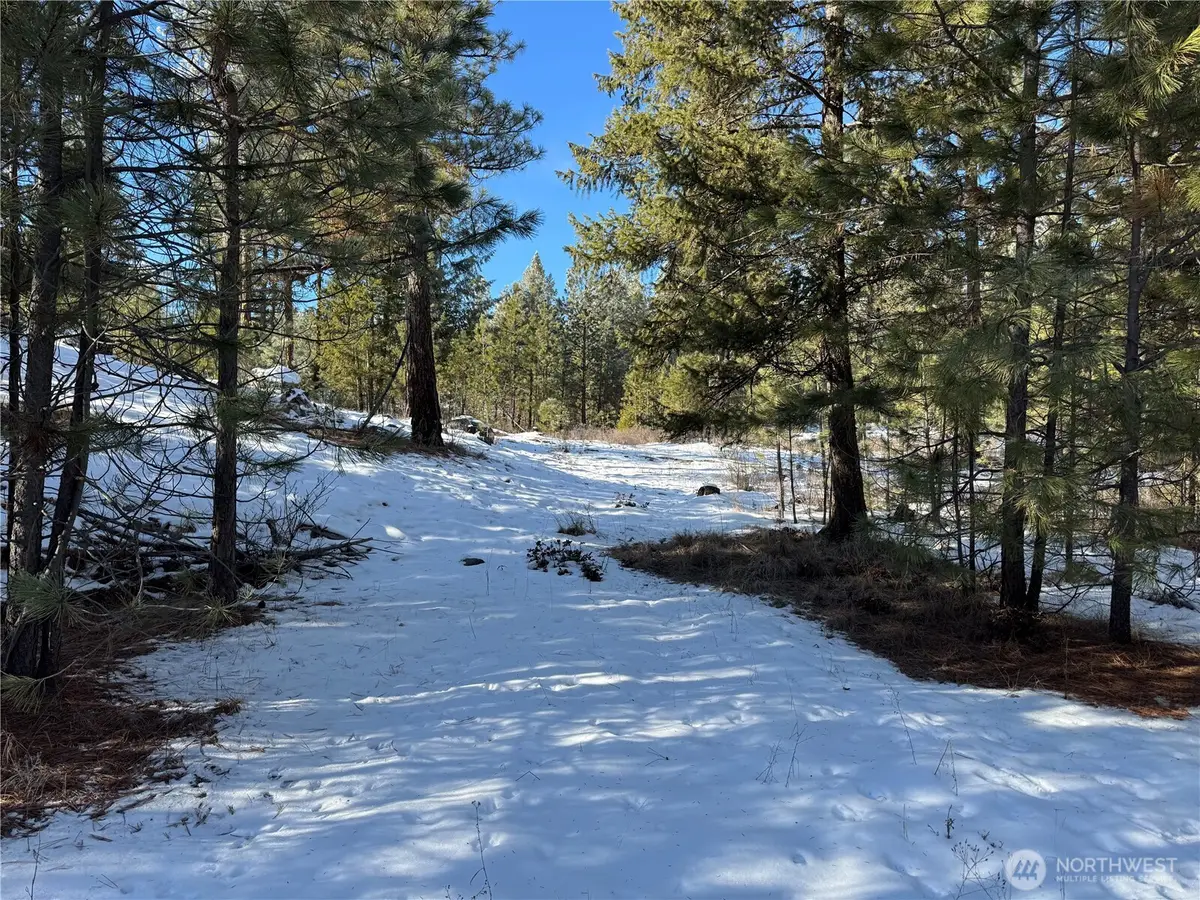0 Tbd Cartwright Drive #Lot 1, Tonasket, WA 98855 - #1