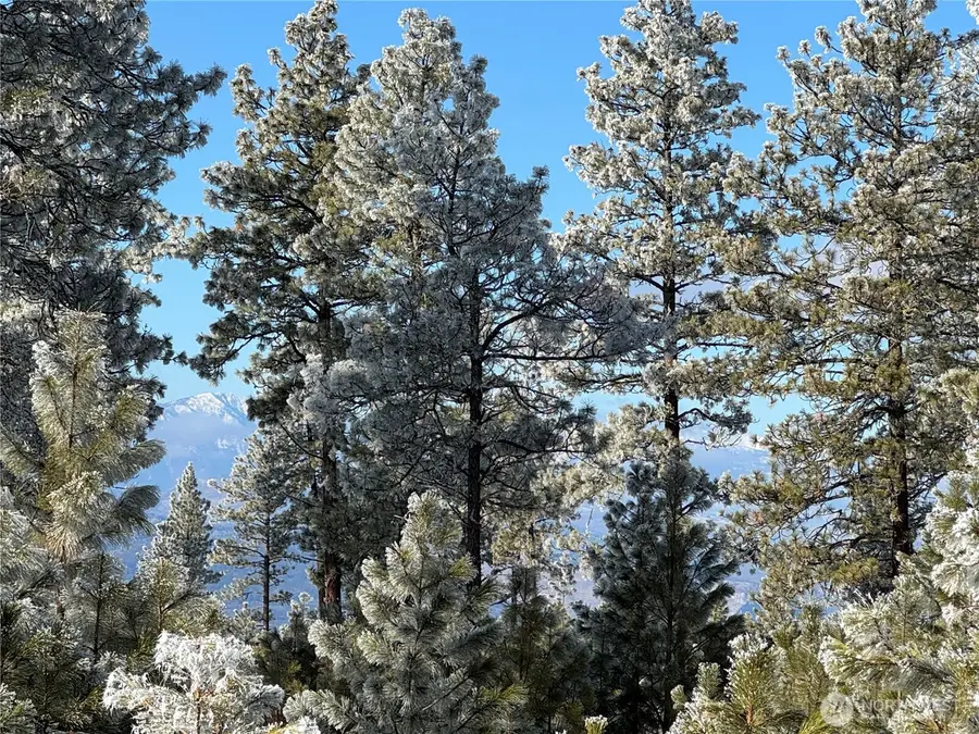 0 Tbd Cartwright Drive #Lot 1, Tonasket, WA 98855 - #2