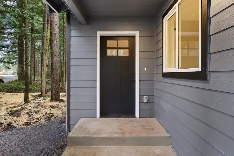 56114 343rd Avenue Ct E, Ashford, WA 98304 - #3