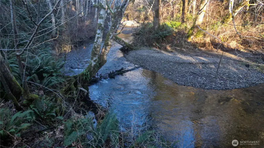 443 Elma Hicklin Rd W, McCleary, WA 98557 - Image #3