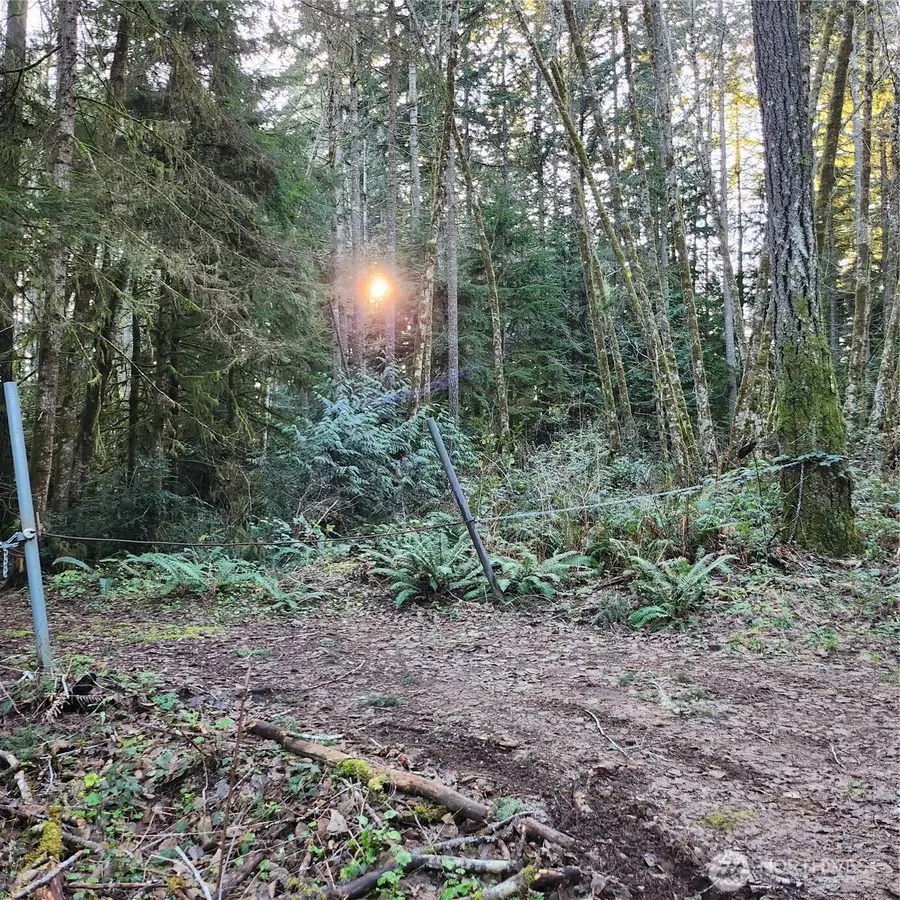 17616 30th Street Nw, Lakebay, WA 98349 - Image #2