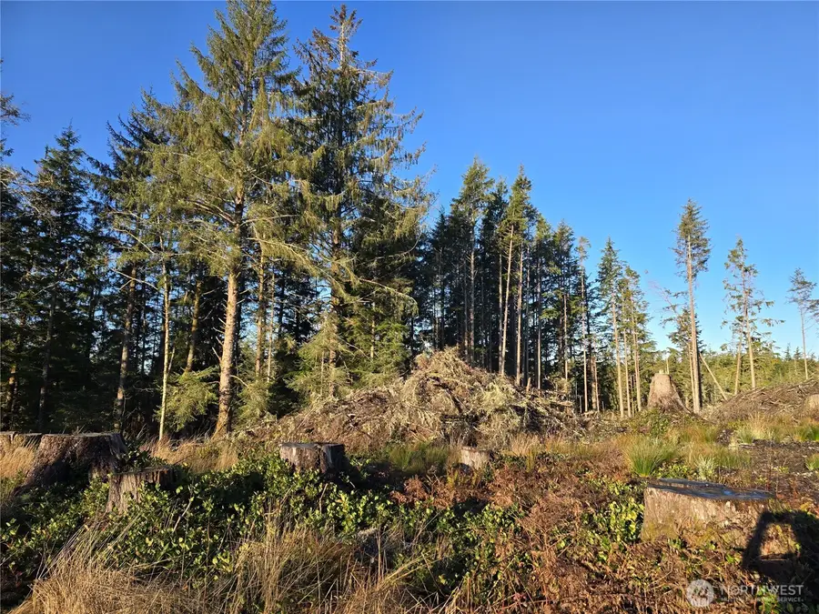 2753 State Route 101, Ilwaco, WA 98624 - #2