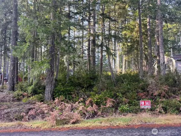 40 E Paint Brush Lane, Union, WA 98592