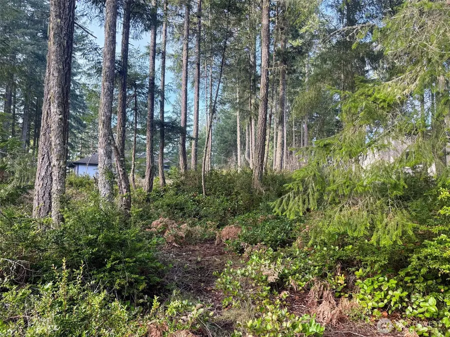 40 E Paint Brush Lane, Union, WA 98592 - #2