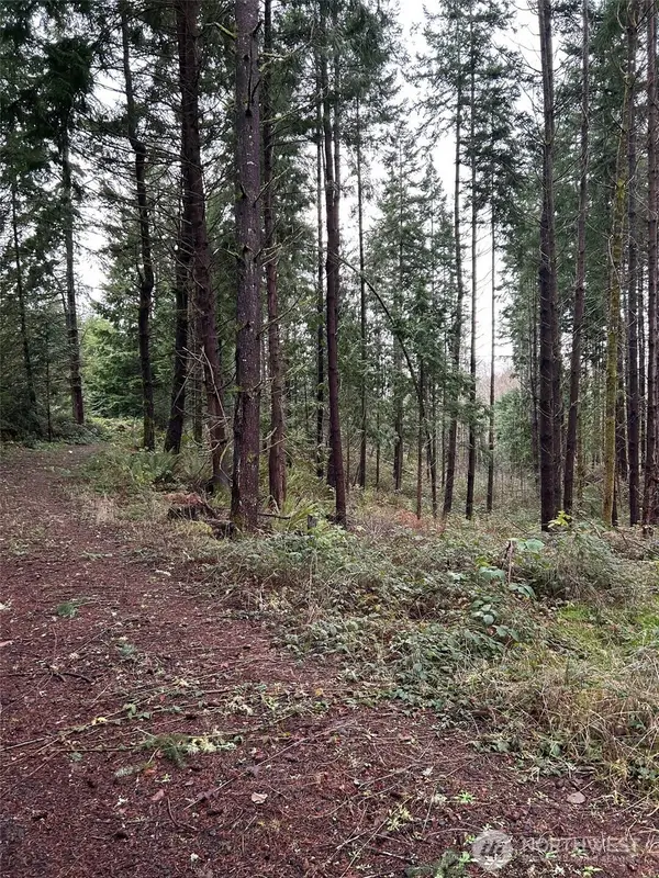 0 NE Sawdust Hill Road #Lot 6 as amended, Poulsbo, WA 98370