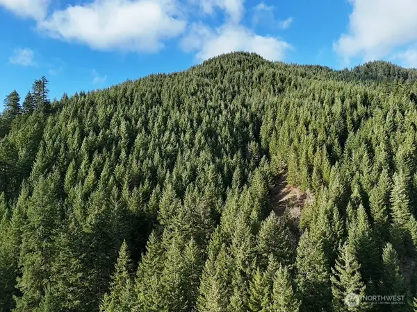 1951 Bear Creek Road, Carson, WA 98610