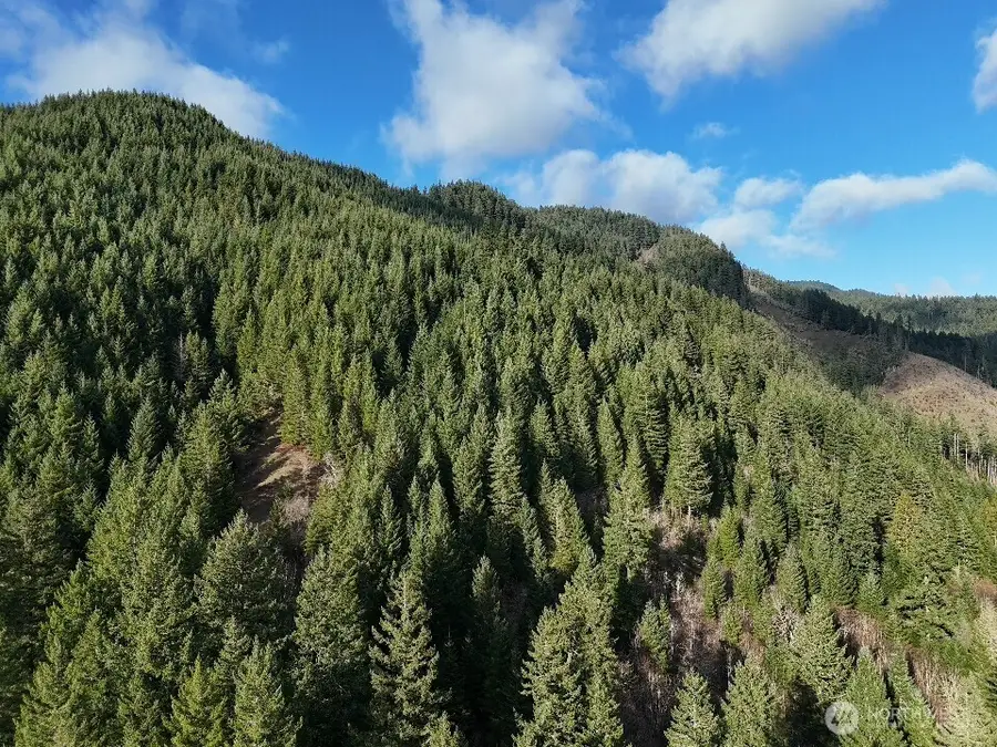 1951 Bear Creek Road, Carson, WA 98610 - Image #2