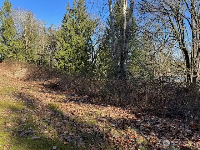 57 188th Avenue Ne, Redmond, WA 98053 - #1