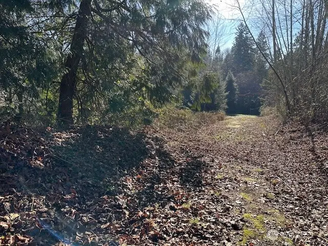 57 188th Avenue Ne, Redmond, WA 98053 - #3