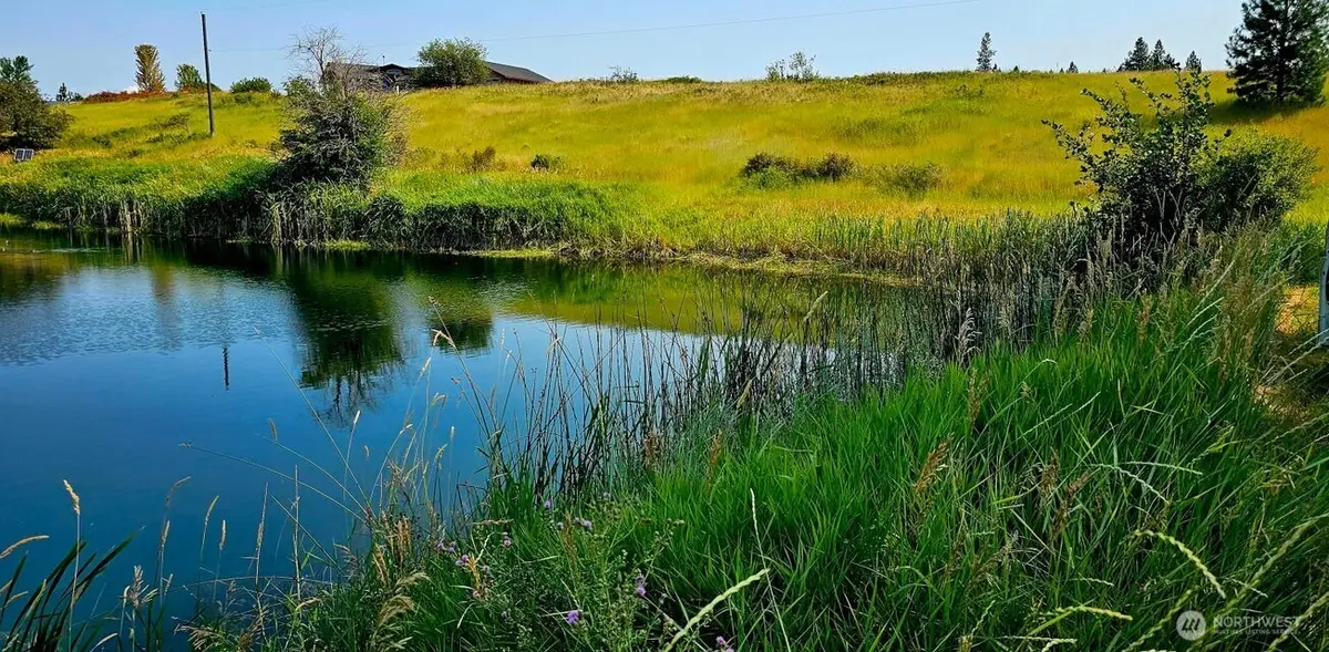 1041 Ward Way, Colville, WA 99114 - #1