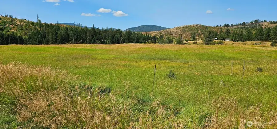 1041 Ward Way, Colville, WA 99114 - #2