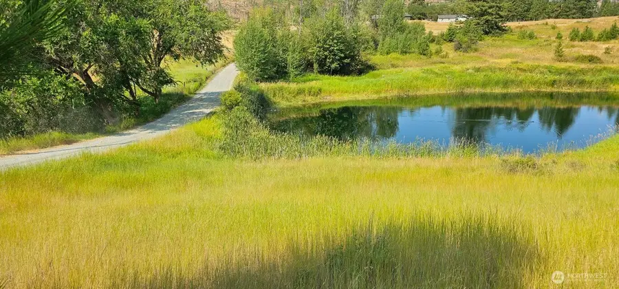 1041 Ward Way, Colville, WA 99114 - #3