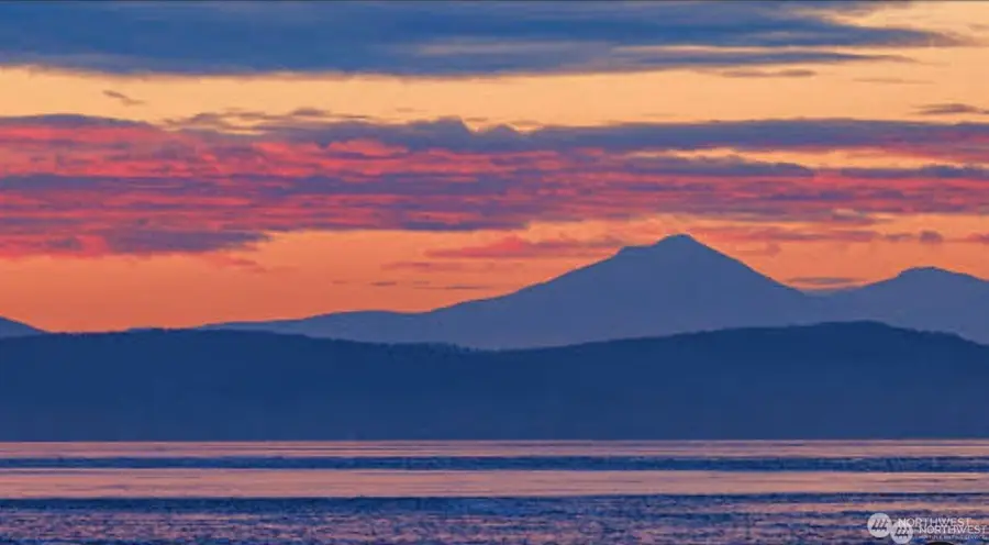 110 174th Place Ne, Bellevue, WA 98008 - Image #3