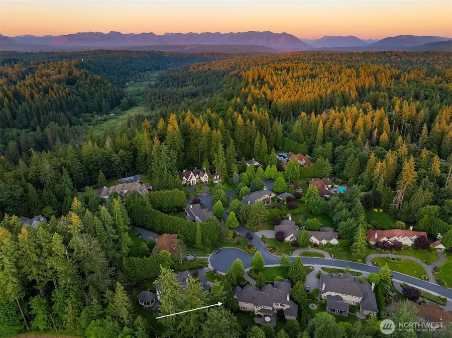 24838 NE 20th Street, Sammamish, WA 98074 - #3