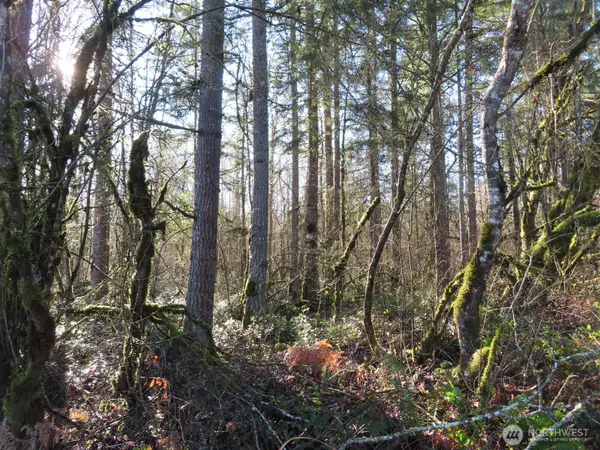 115 Campground Lane, Winlock, WA 98596