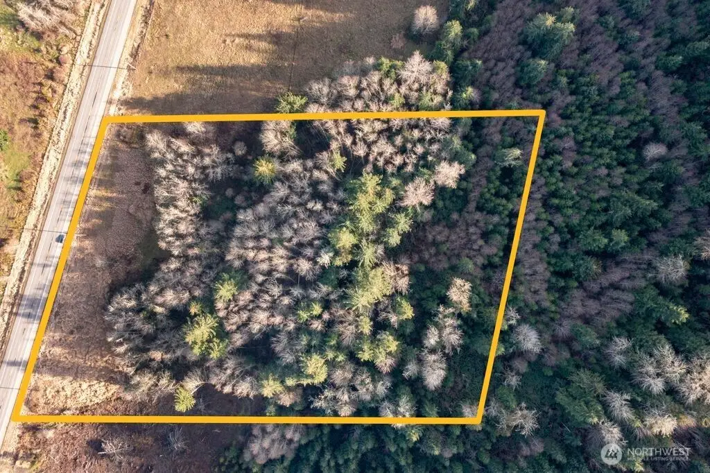 51720 Mountain Highway E, Eatonville, WA 98328 - #1