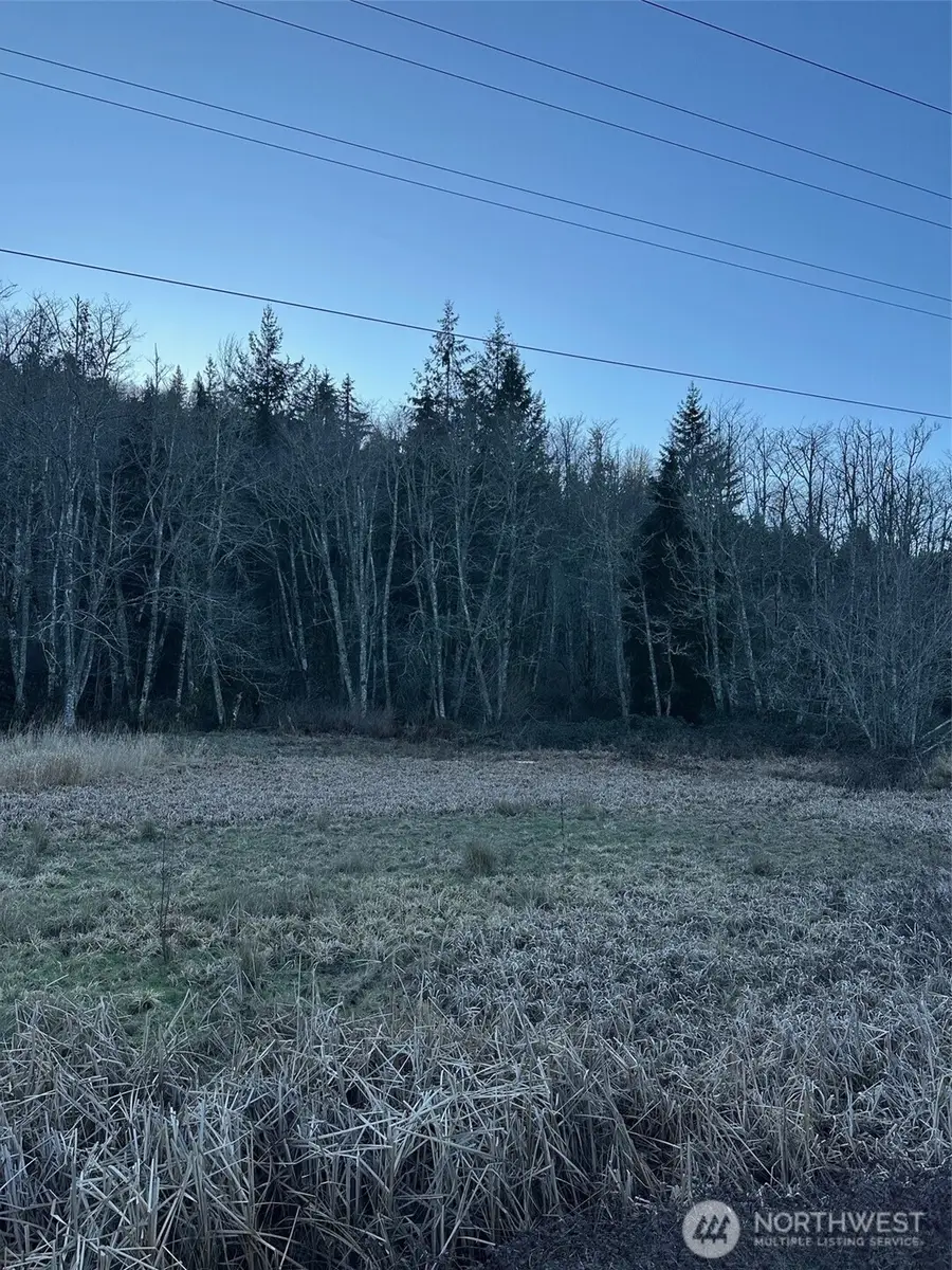 51720 Mountain Highway E, Eatonville, WA 98328 - #3