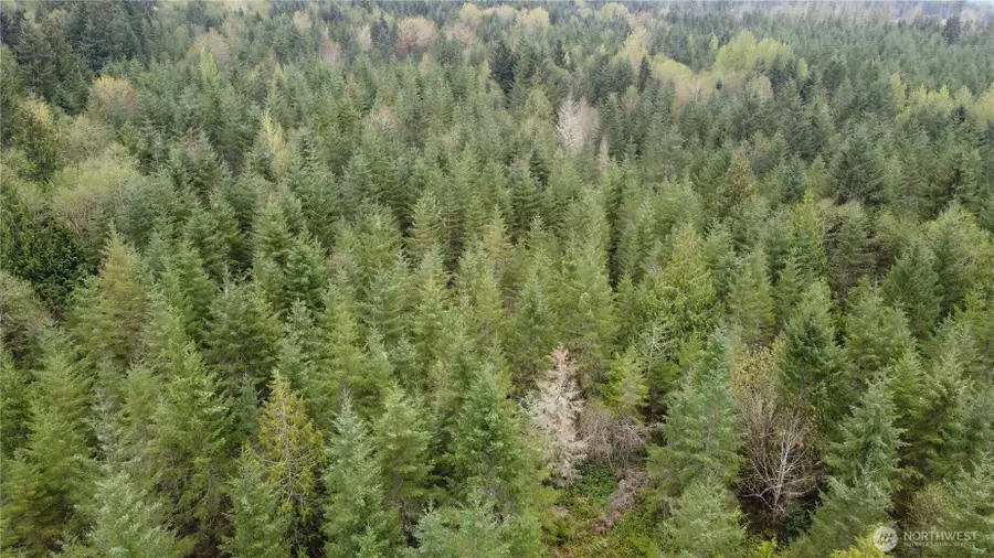 0 164th Street E, Buckley, WA 98321 - Image #3