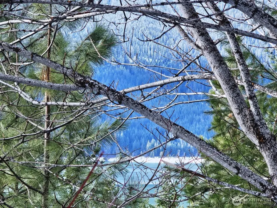 12 Anna Bell Drive #12, Ronald, WA 98940 - #3