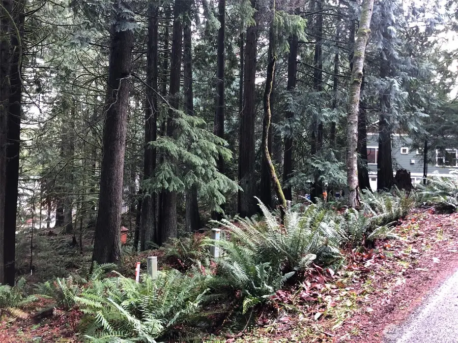 3 Maple Court #132, Bellingham, WA 98229 - Image #2