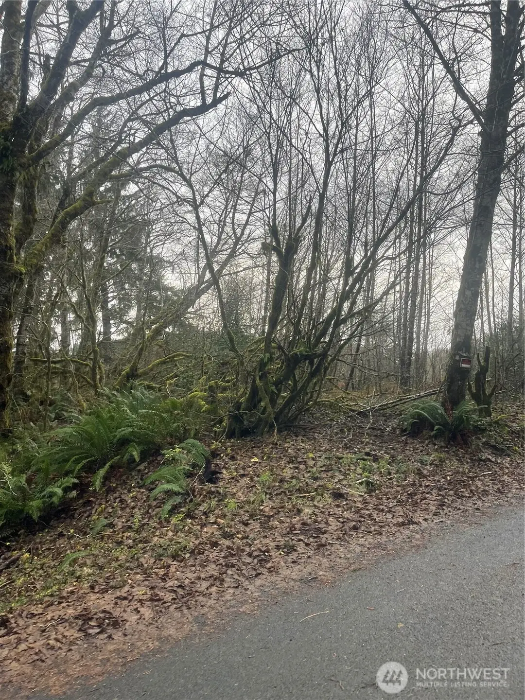 0 Ward Creek Road #024, Raymond, WA 98577 - Image #1