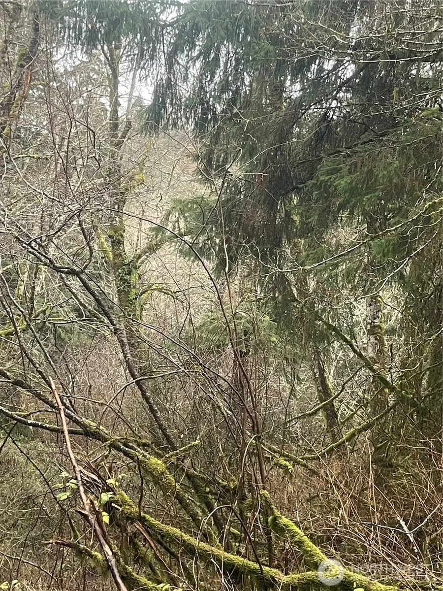 0 Ward Creek Road #024, Raymond, WA 98577 - Image #2