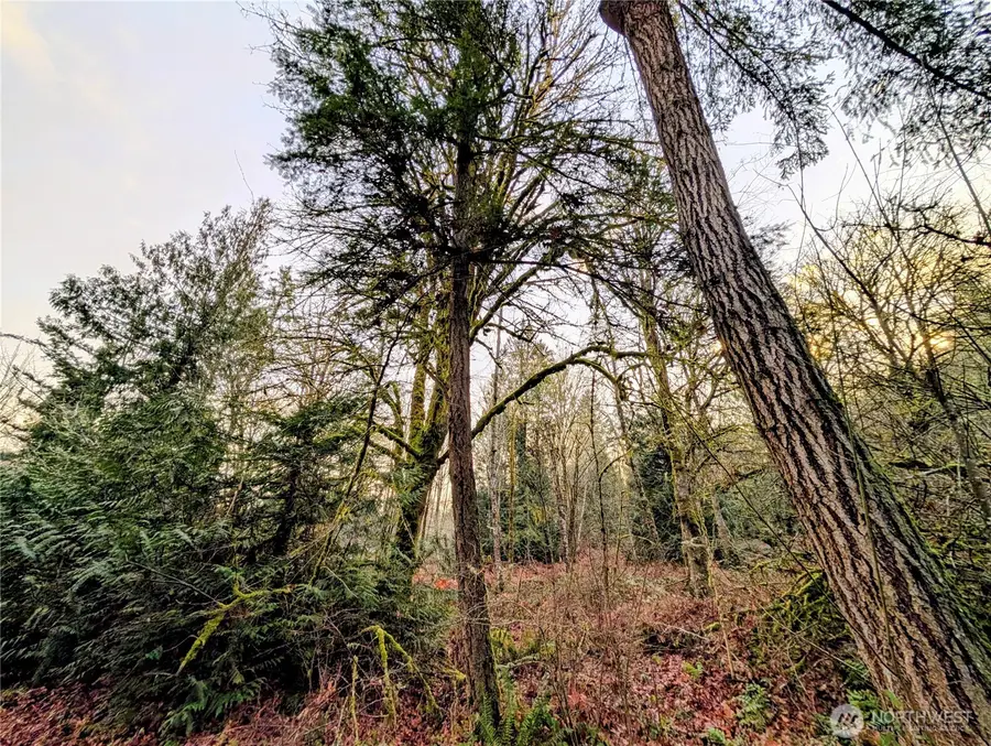 4010 Whiteman Road Sw, Lakebay, WA 98349 - Image #2